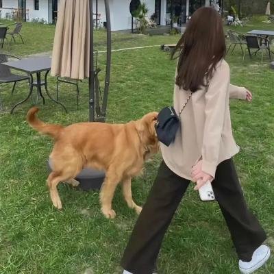妖者为王第二季