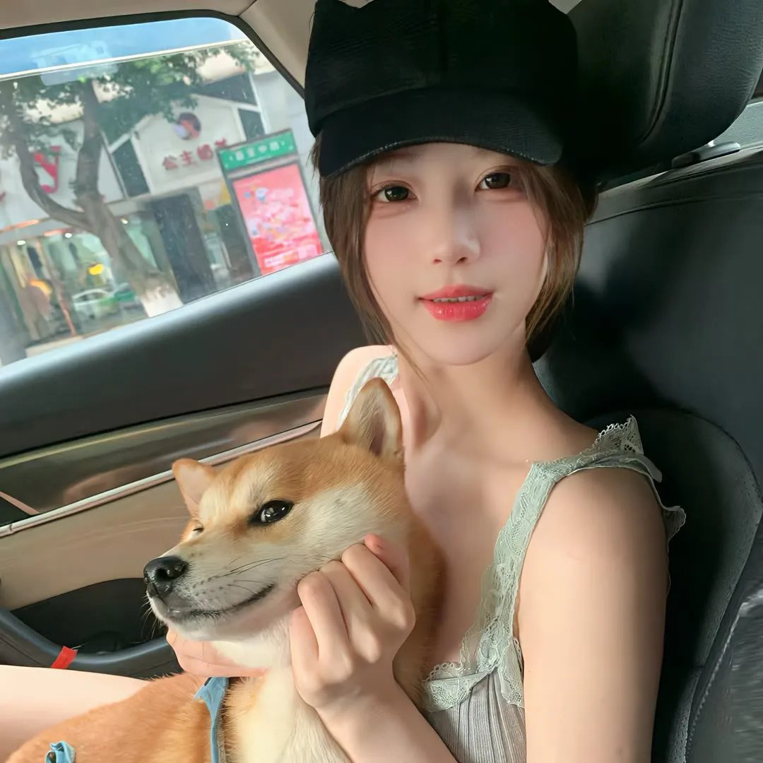 猪就是猪