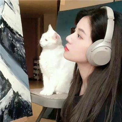 美丽的凯特